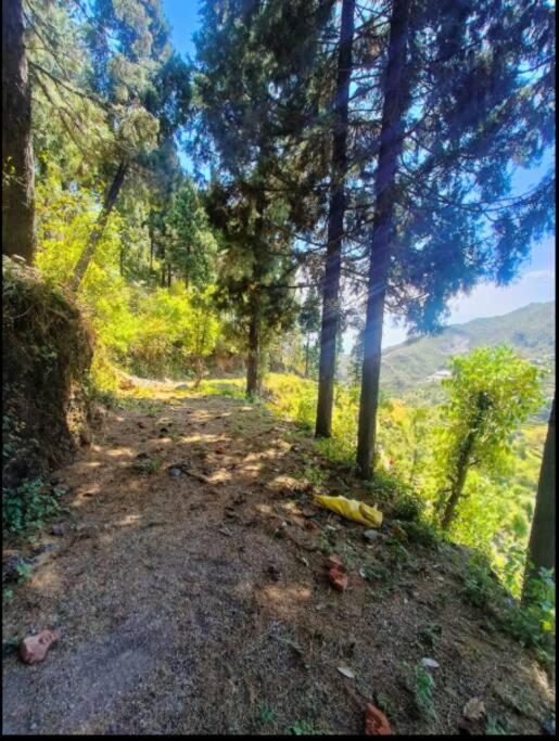 The Hill Story, Entire Chalet, Offbeat,Cozy Mussoorie Eksteriør billede